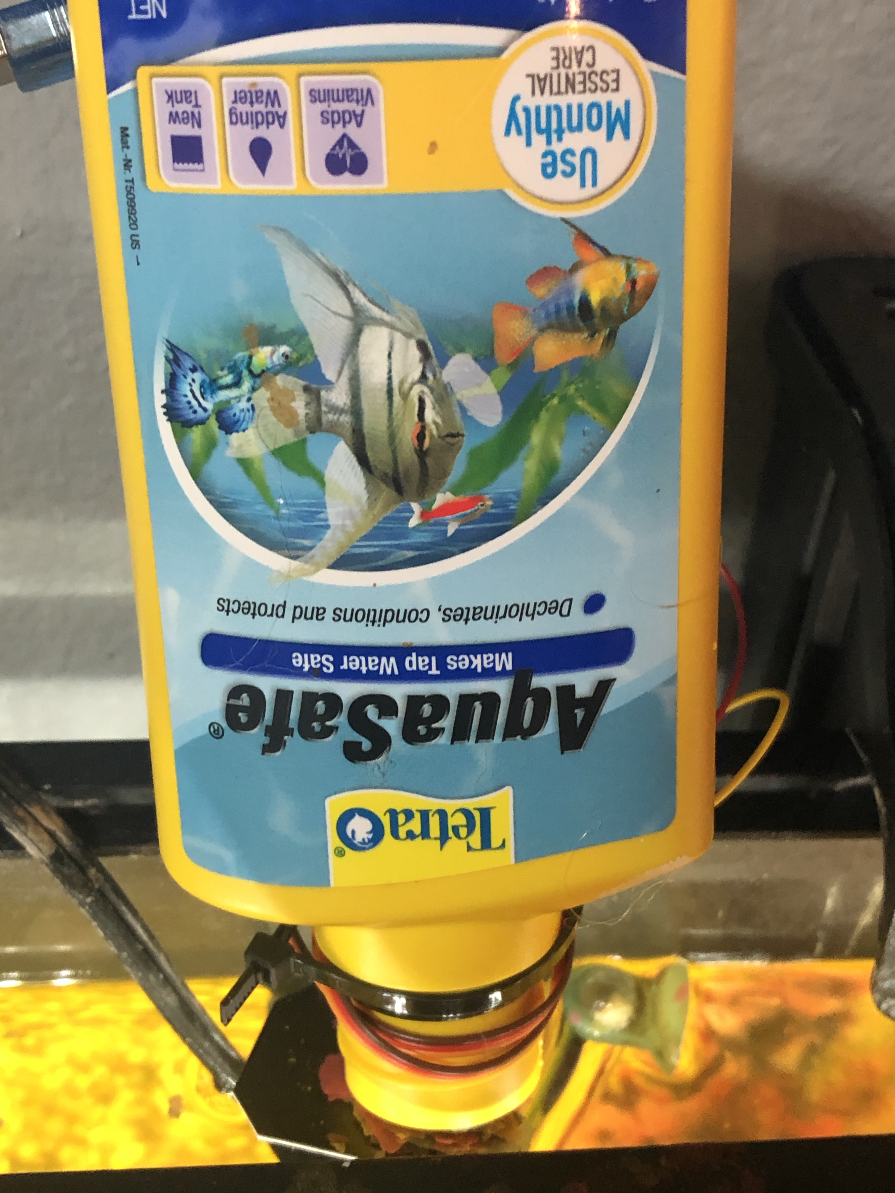 Automatic Fish Feeder